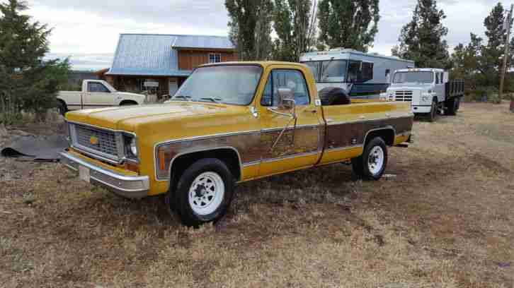 1973 Chevrolet C20 Cheyenne Super mit 454ci Big Block V8