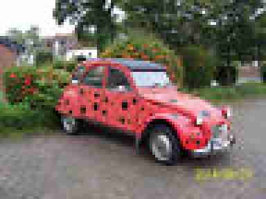 2 CV 6, Bj 1989, rot, 187000 km