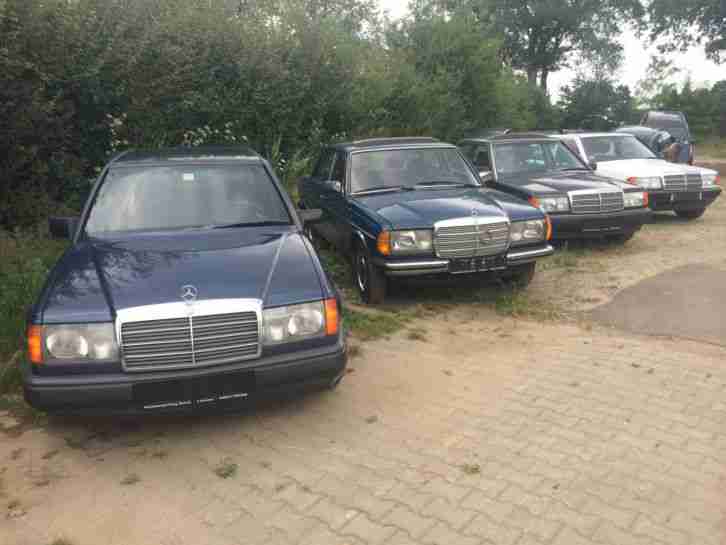 4 x Mercedes 1 x W123 Oldtimer H Kennzeichen 2x W201 2, 0 2, 6 1x W124 300 D