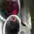 Alfa Romeo 147