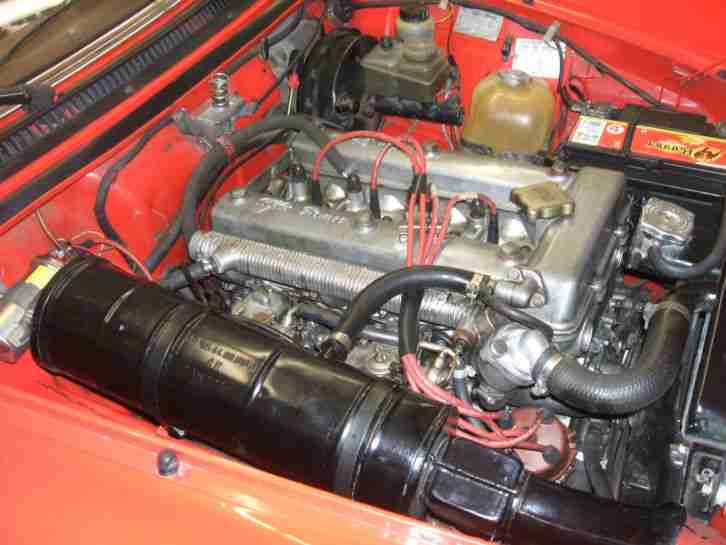Alfa Romeo Spider, Bj 83, sehr guter Zustand, kein Rost