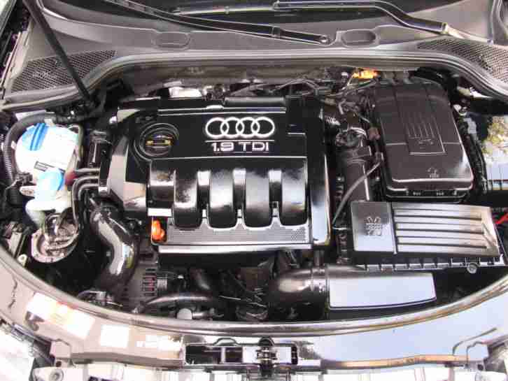 Audi A3 1.9 TDI DPF 1.Hand, scheckheftgepflegt