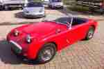 Austin Healey Sprite MK I Frosch mit