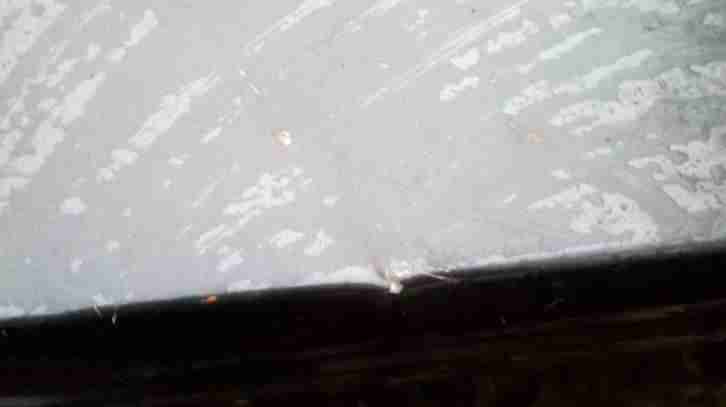 BMW E34 525i 24V Tüv Neu