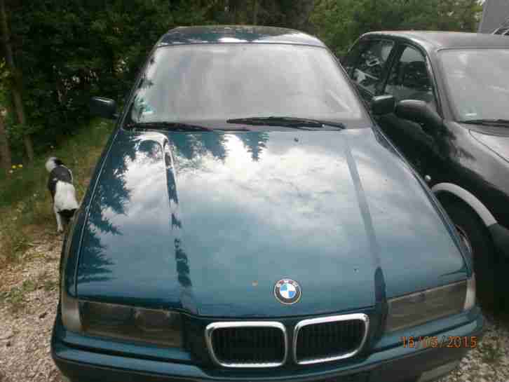 BMW E36 318Ti Compact Schlachtfest