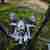 Boom Trike Lowrider