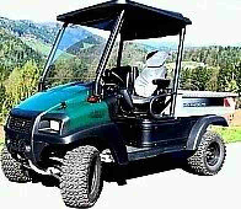 CarryALL 295 4x4 Kubota 3 Zylinder Diesel Motor