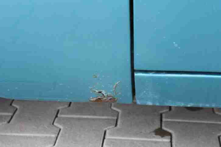 Chevrolet Impala - Limousine 302cui - V8 - originaler Zustand - US-Car