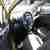 Chevrolet SPARK LS