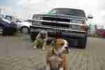 Chevrolet Silverado 1500 Hardtop