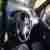 DAIHATSU MOVE MODERNO