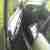 Daihatsu Sirion 1.0