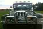 Einzelstück Jeep Wrangler YJ 4.2 l mit Hardtop und