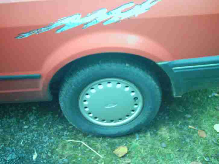 Escort fast Olteimer