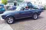 124 SPIDER