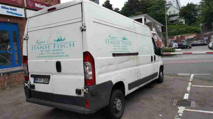 Fiat Ducato Kühlwagen