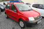 Panda 1.1 Active 34.300 KM Top Zustand