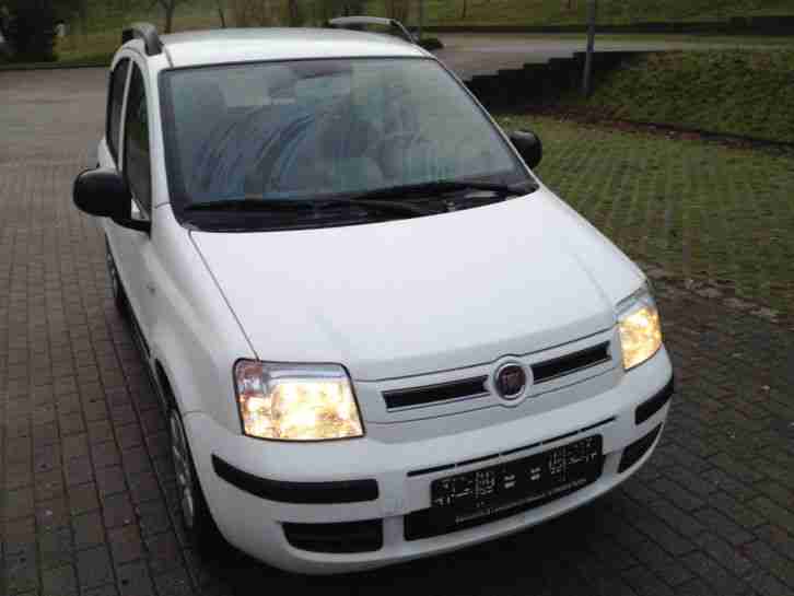 Panda 1, 2 8V Dynamic in weiß