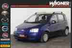Panda 1.2 Dynamic 8 fach bereift