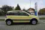 Panda 1.2 Off Road 4x4 1.Hand, Klima