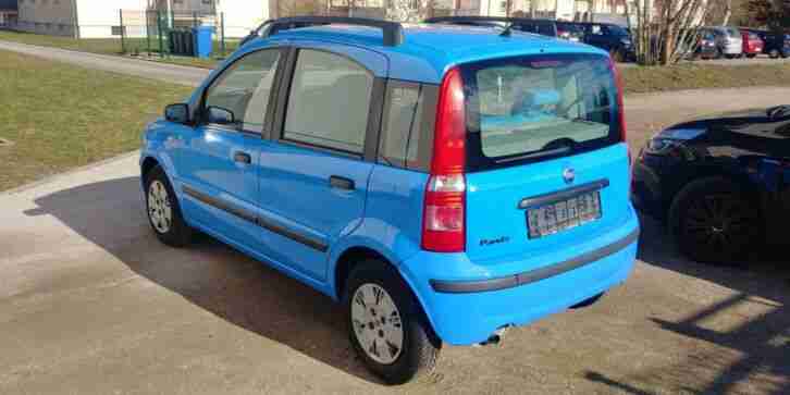 Fiat Panda 169 1.2 Dynamic - Klima - 8x bereift - Blau - Zahnriemen Neu