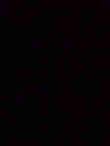 Fiat Punto 176 Mit Tüv 9.2015