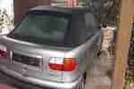 Punto Cabrio