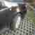 Fiat Punto Winterauto