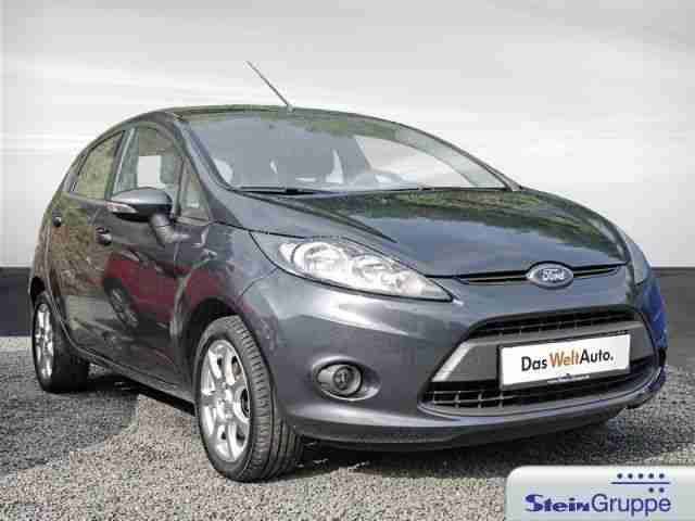 Ford Fiesta 1,25 Trend (Wellness Tageskarten!)