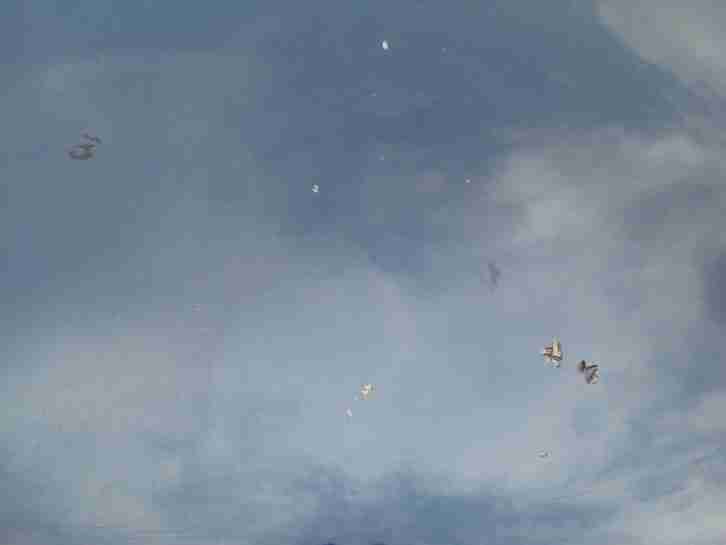 Ford Focus Turnier Finesse (Kombi), 1,6 74 kW / 101 PS, Benzin, EZ 05/03