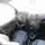 Ford Fusion 1.4