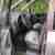 Ford Galaxy 2