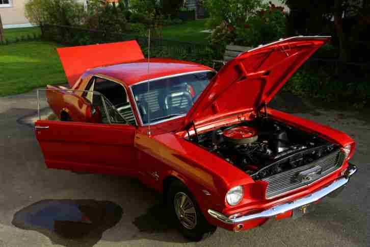 Ford Mustang 289cui V8 - Bj.1966 - TRAUMZUSTAND - 3-GangSchalter - H-Zulassung