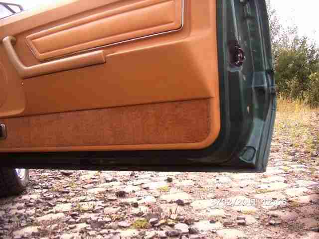 Ford Mustang 5.0 im Ghia Trim