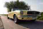 Ford Mustang Cabrio V 8 289 (Bj.1964)