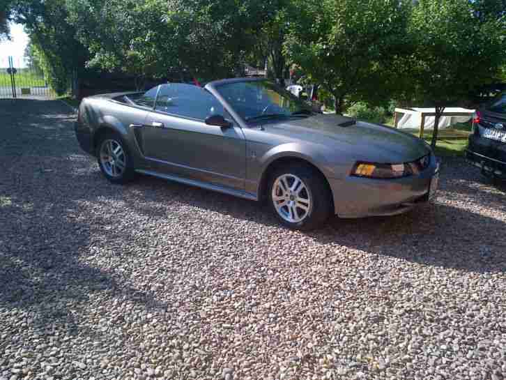 Ford Mustang Cabrio V6 Leder Alarm