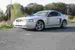 Mustang GT V8 Automatik Leder KLima etc