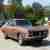 Ford Torino 500