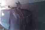 Jazz
