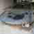 Honda Prelude 2.3