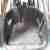 Honda Stream 2.0