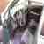 Honda Stream 2.0