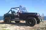 JEEP WRANGLER V8 HOCH, BREIT, LAUT, OFFEN, GÜNSTIG: LKW