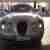 Jagua Type Voll