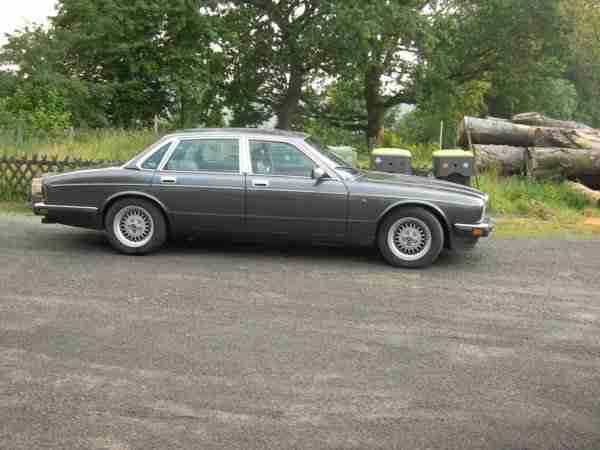 Jaguar/Daimler xj81, xj40, DD6, xj12, 6L, Tüv 08/14, 311 Ps; !! 2 STÜCK!!