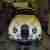 Jaguar MK II