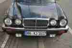 XJ 12 Serie 3 XJ12 guter Zustand ! wenig km