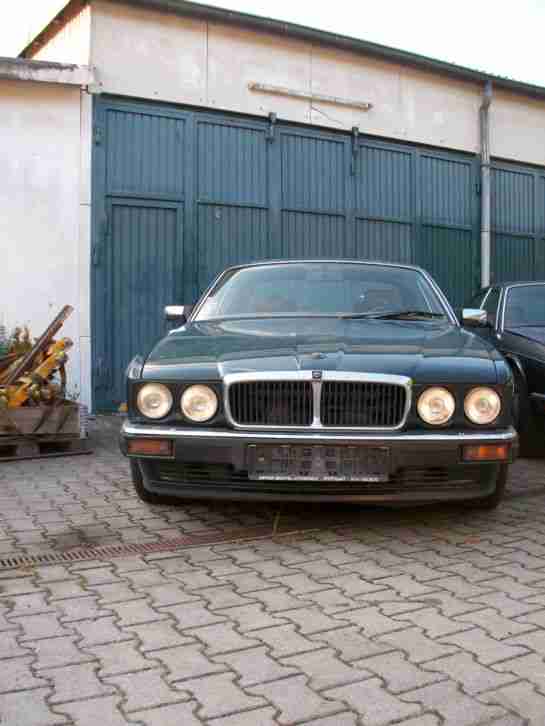 Jaguar XJ 81