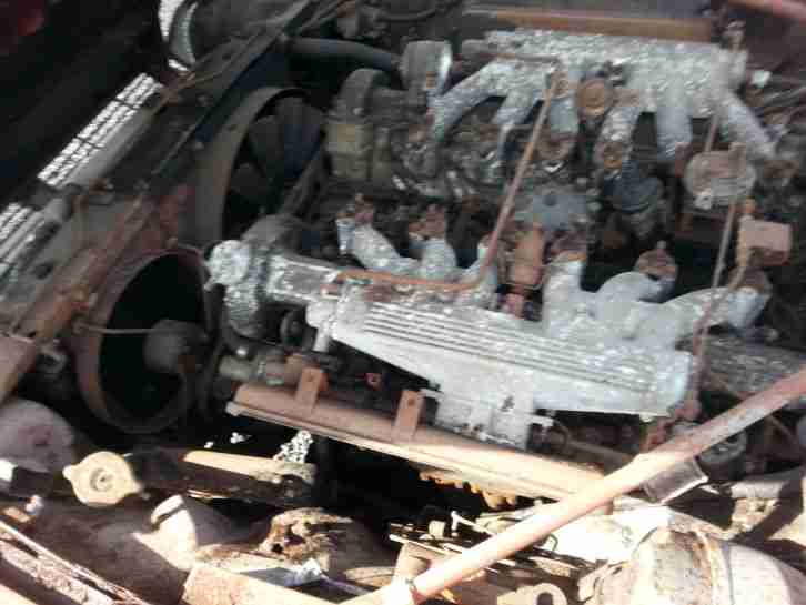 Jaguar XJS 12