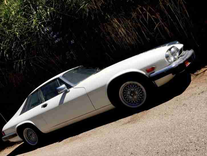 Xjs V12 Sport Coupe SL nur 80.000